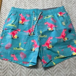 Party Pants Men’s Swim Trunks Set Blue Pink Dinosaur Cooler Scooter Size Large